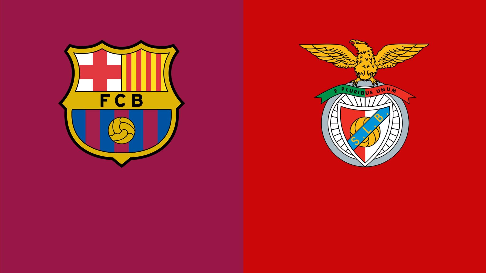 MK体育下载-包含本菲卡迎法国杯关键赛，今夜豪取连胜，信心回归，赛季目标并未改变的词条